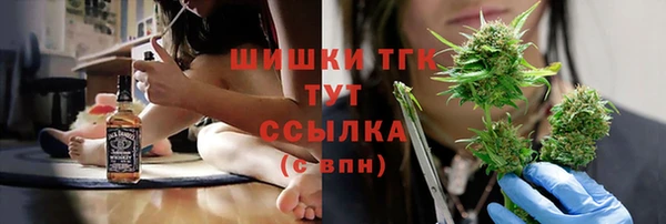 шишки Костерёво