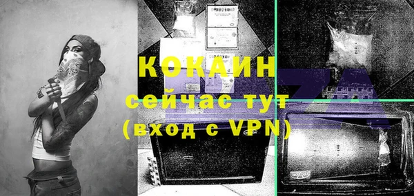 молекула духа Козельск
