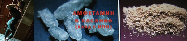 молекула духа Козельск