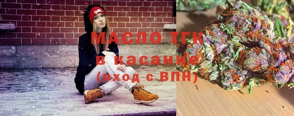 молекула духа Козельск