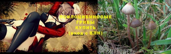 первитин Козловка