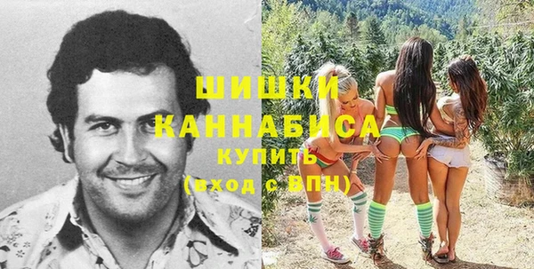 метадон Коряжма