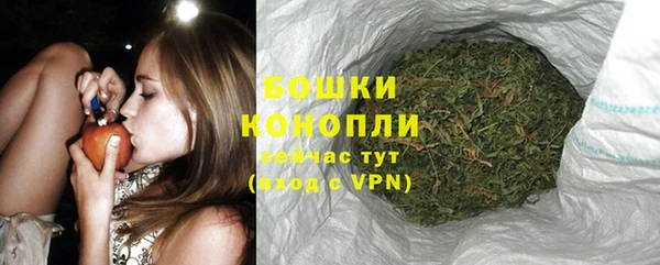 молекула духа Козельск
