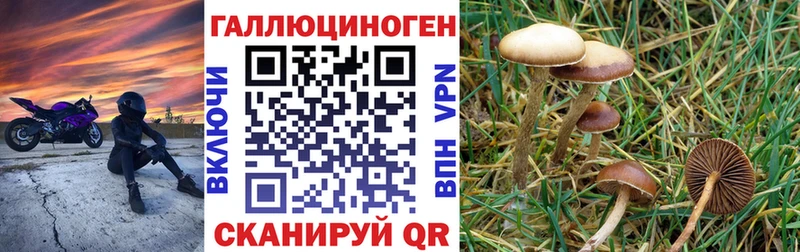 Галлюциногенные грибы GOLDEN TEACHER  Нелидово 